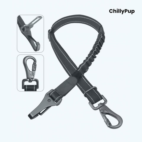 Dog Car Seat lead with with carabiner and clip on a white background with Chillypup branding'.